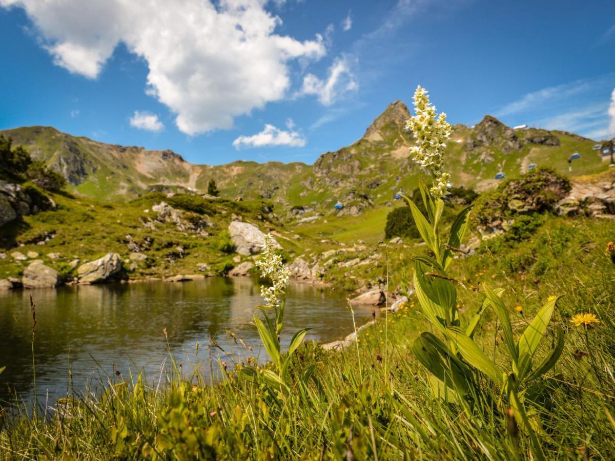 Holiday Home Steindlwald By Interhome Untertauern Eksteriør bilde